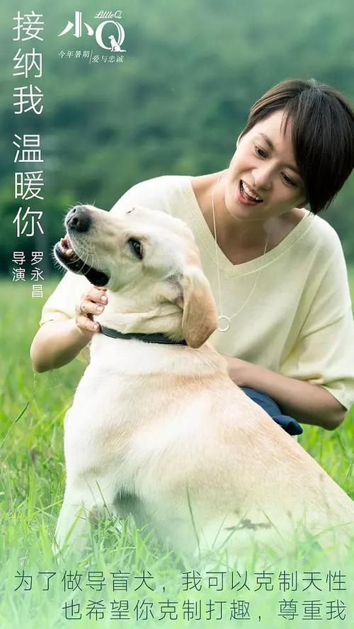 办出境旅游领队证
